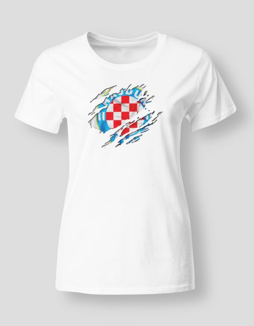 Hajduk u srcu