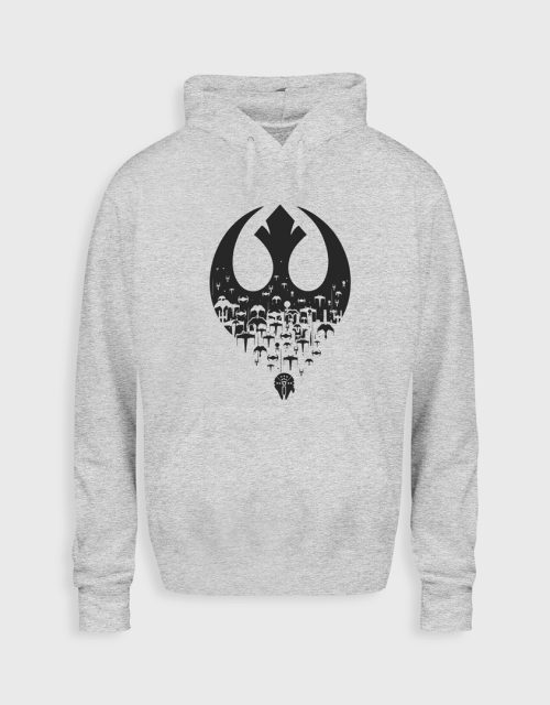 Rebel ships