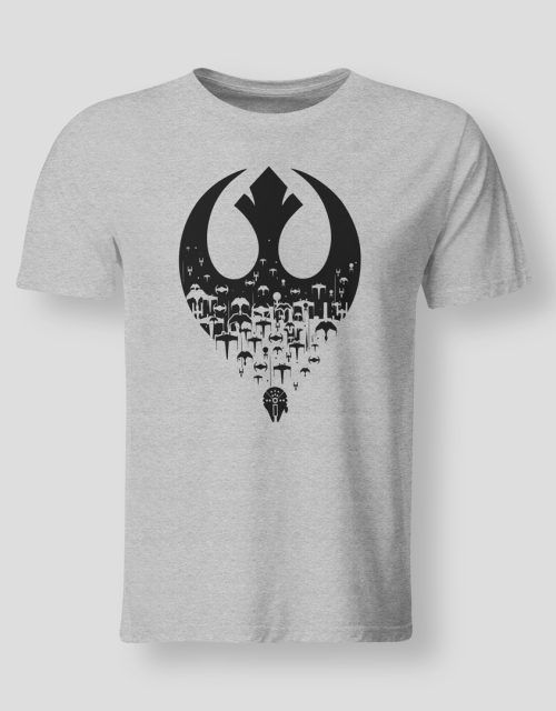 Rebel ships